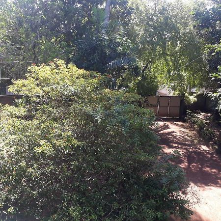 Guesthouse Sunshine Aluthgama Buitenkant foto