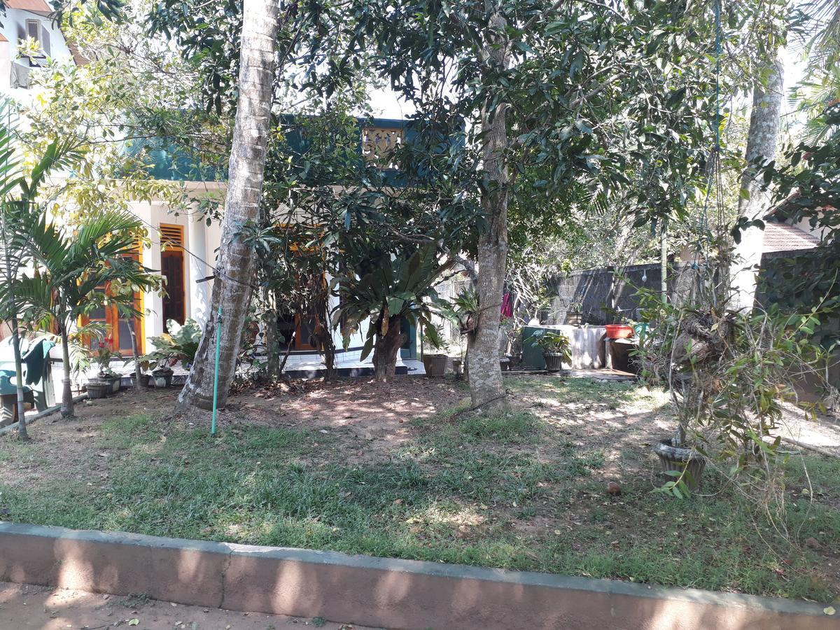 Guesthouse Sunshine Aluthgama Buitenkant foto