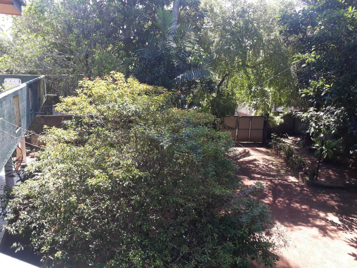 Guesthouse Sunshine Aluthgama Buitenkant foto